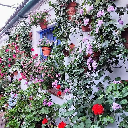 Appartement Alcazar San Basilio