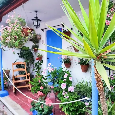 Apartamento Alcazar San Basilio *