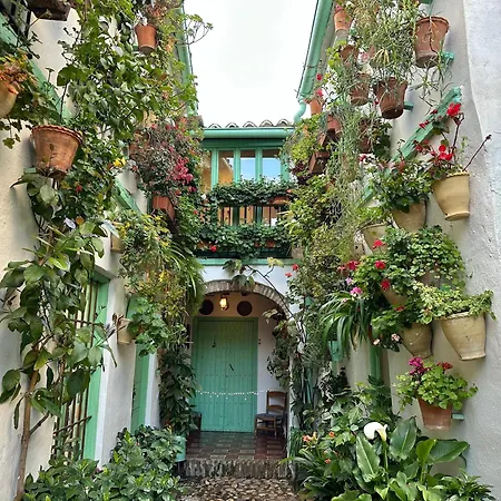 Alcazar San Basilio קורדובה