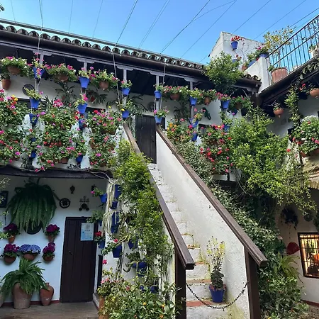 Alcazar San Basilio * Córdoba