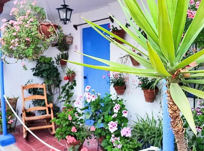 Апартаменты Alcazar San Basilio *