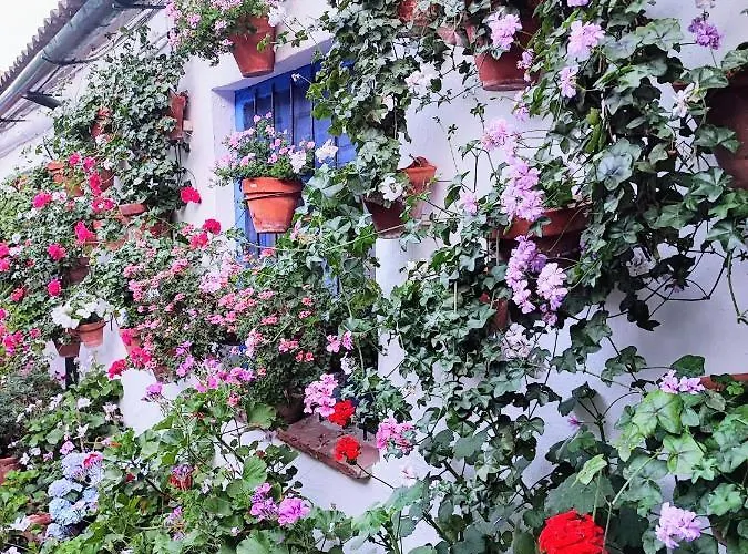 דירה Alcazar San Basilio