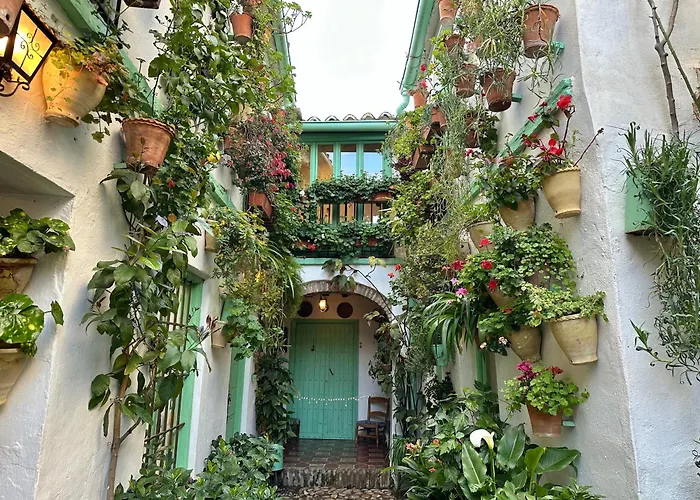 Alcazar San Basilio קורדובה